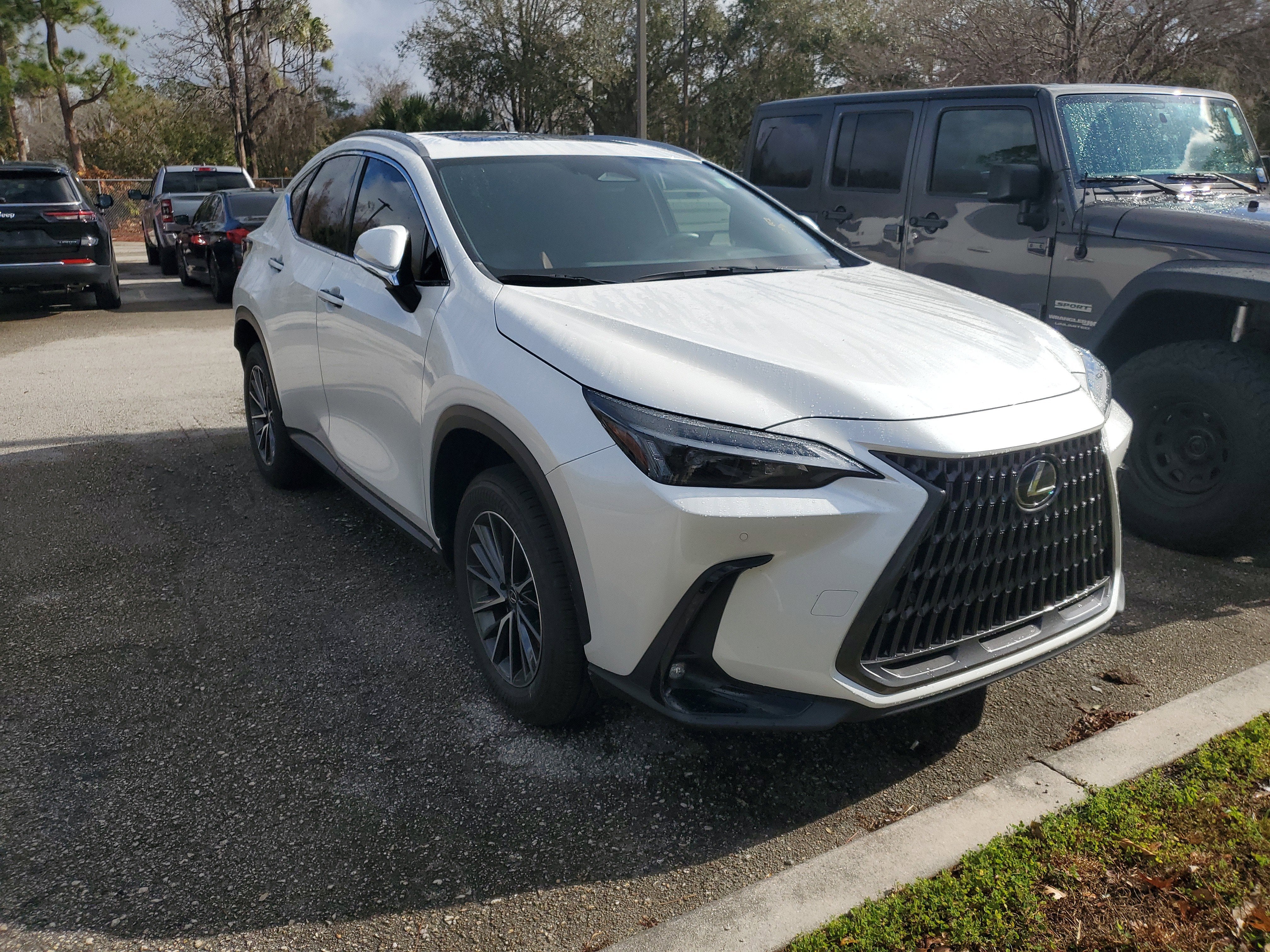 2024 Lexus NX NX 250 Premium