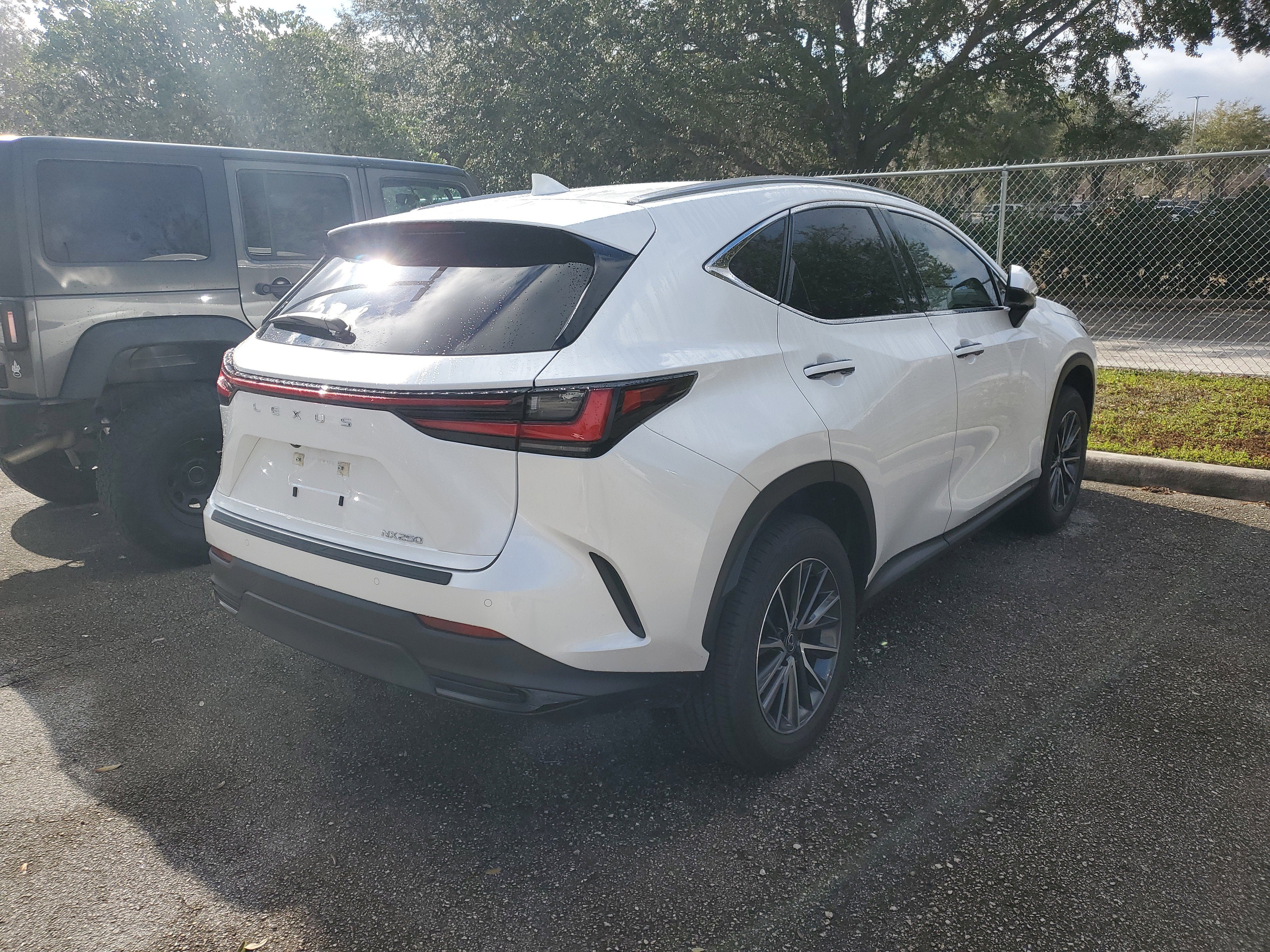 2024 Lexus NX NX 250 Premium