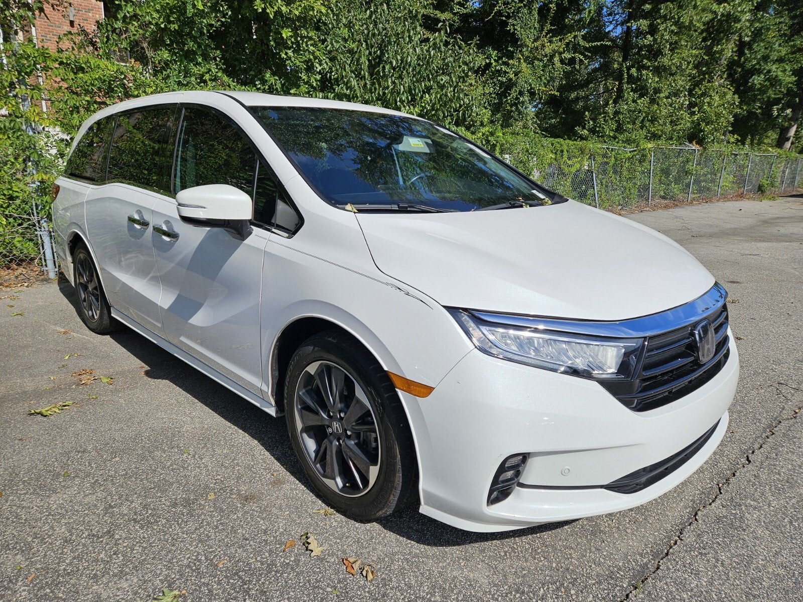 2024 Honda Odyssey Elite