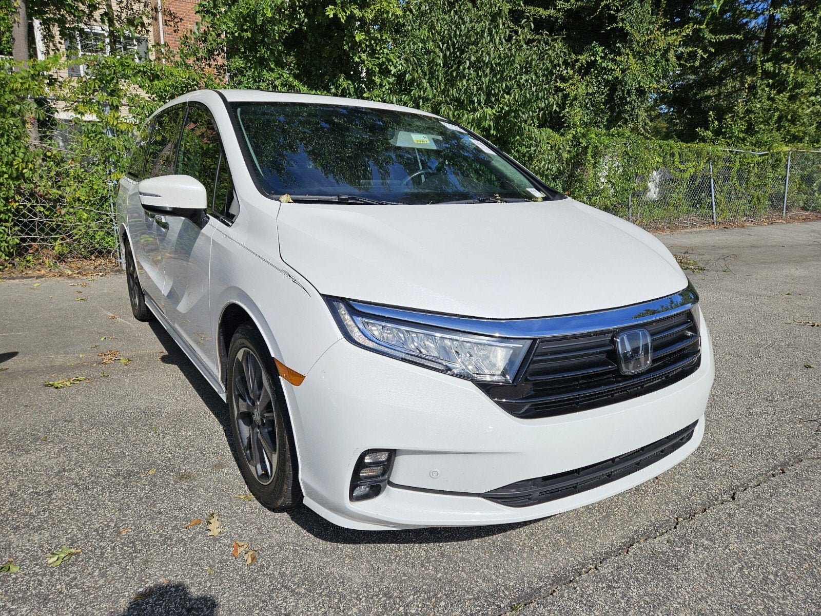 2024 Honda Odyssey Elite