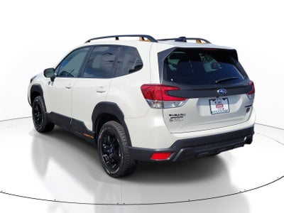 2024 Subaru Forester Wilderness