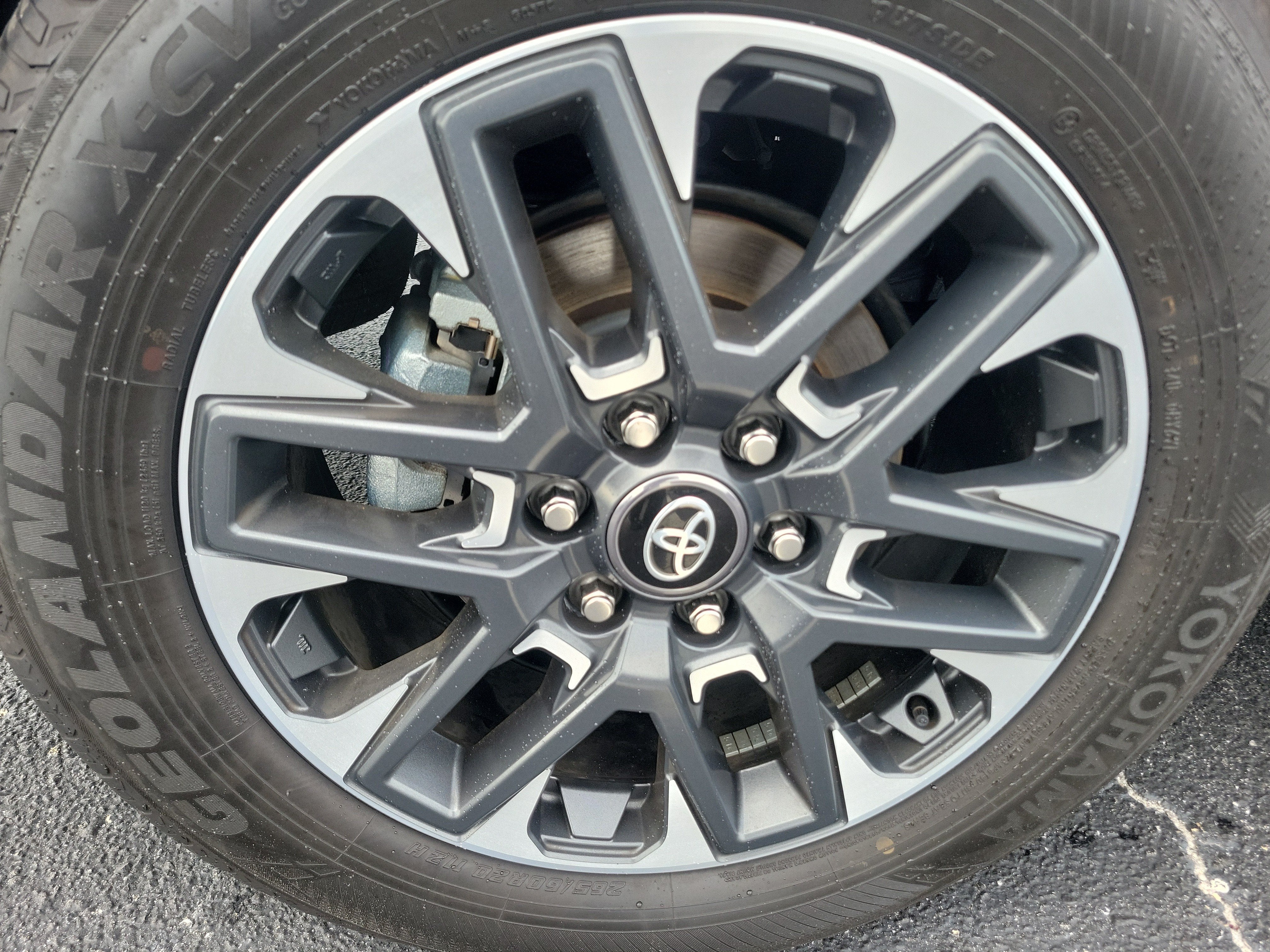 2025 Toyota Sequoia Limited