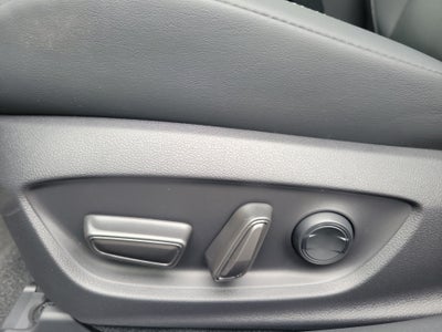 2023 Toyota Prius XLE