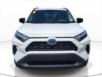 2024 Toyota RAV4 Hybrid XLE