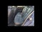 2024 Mazda Mazda3 Sedan 2.5 S Select Sport