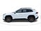2023 Toyota RAV4 Hybrid Woodland