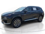 2021 Hyundai Santa Fe Calligraphy