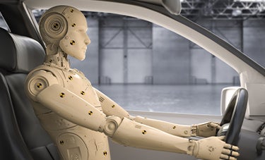 image of a crash test dummy in a car